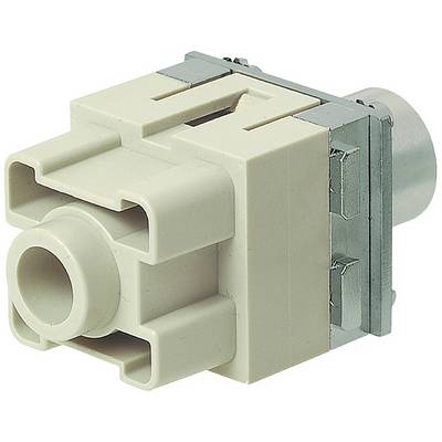 Connecteur électrique : boîtier rectangulaire blanc en plastique avec des contacts métalliques. Utilisé pour les connexions de câbles.