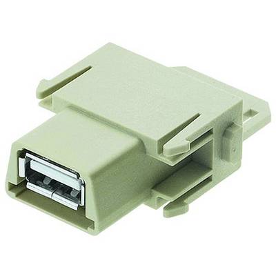 Un adaptateur USB beige avec connexion métallique repose sur un fond blanc. L'adaptateur est rectangulaire et fabriqué en plastique.
