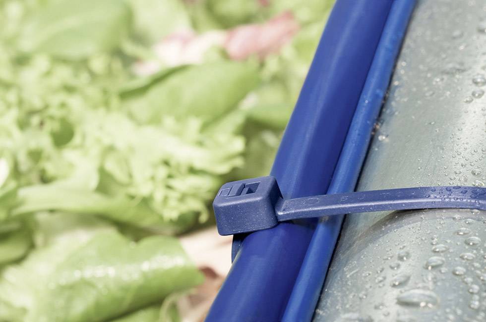 Gros plan d'un serre-câble bleu maintenant quelque chose. Des feuilles vertes floues en arrière-plan.