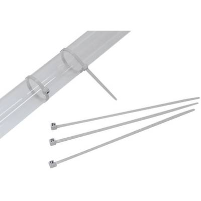Des colliers de serrage de différentes tailles entourent un tube transparent. Trois colliers de serrage sont posés lâchement à côté.