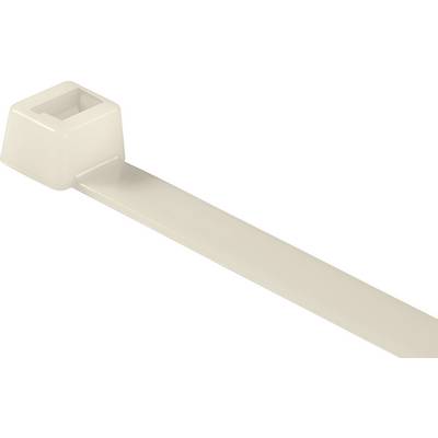 Attache-câbles en plastique en gros plan, blanc, avec tête plate et bande droite. Utilisé pour regrouper ou fixer des câbles.