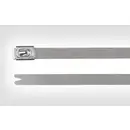 HellermannTyton 111-93058 MBT5SS-SS304-ML Serre-câble 127 mm 4.60 mm argent avec fermeture à billes, stabilisé aux UV 1