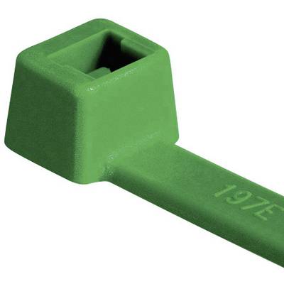 Une extrémité de serre-câble verte, de forme rectangulaire avec une fente pour serrer et verrouiller.