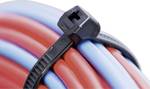 Attache-câbles denture externe 100x2,5 mm, à la chaleur, noir