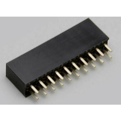 Un connecteur électronique noir rectangulaire avec 10 broches dorées pour connexions.