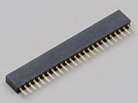 Un connecteur électronique long et rectangulaire doté de nombreuses broches dorées.