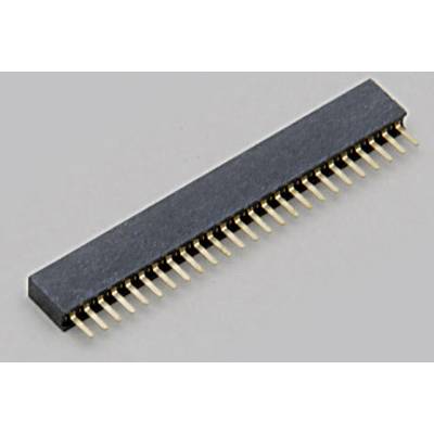 Un connecteur électronique rectangulaire avec de nombreuses broches dorées alignées en rangée droite, sur un fond gris.