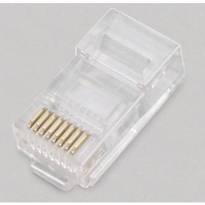 Gros plan sur un connecteur RJ45, utilisé pour les connexions Ethernet. Des contacts dorés sont visibles, le boîtier en plastique est transparent.
