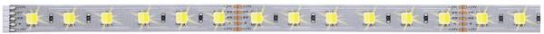 Paulmann MaxLED 70566 Ruban LED (Extension)  avec connecteur mâle 24 V 1 m blanc chaud, blanc neutre, blanc lumière du jour  1 pc(s)