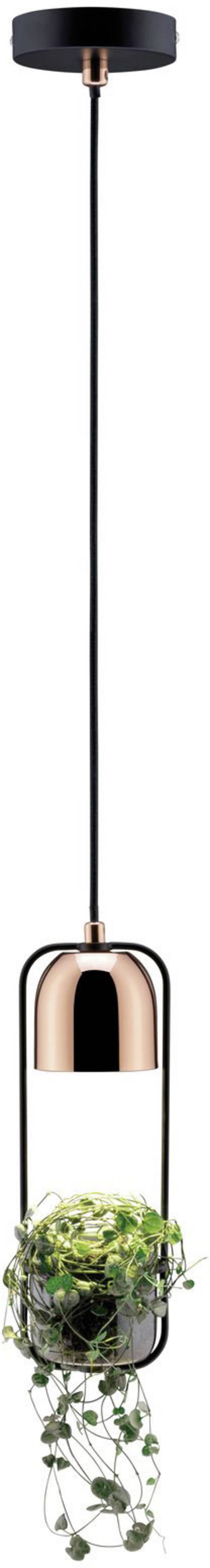Luminaire à suspendre Paulmann Fanja 79749 Ampoule spéciale GU10  20 W cuivre, noir