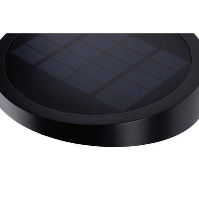Lanterne solaire ronde et noire avec des modules solaires clairement visibles sur le dessus, probablement destinée à l'éclairage extérieur.