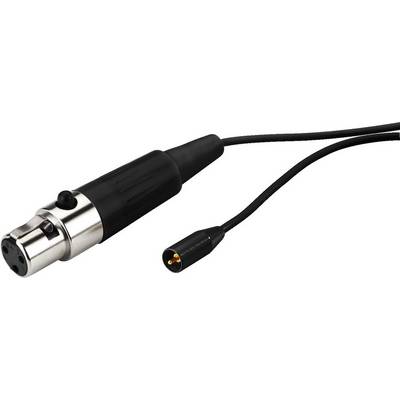 Un câble micro noir avec connecteur XLR et petit adaptateur, prêt à être branché à un équipement audio.