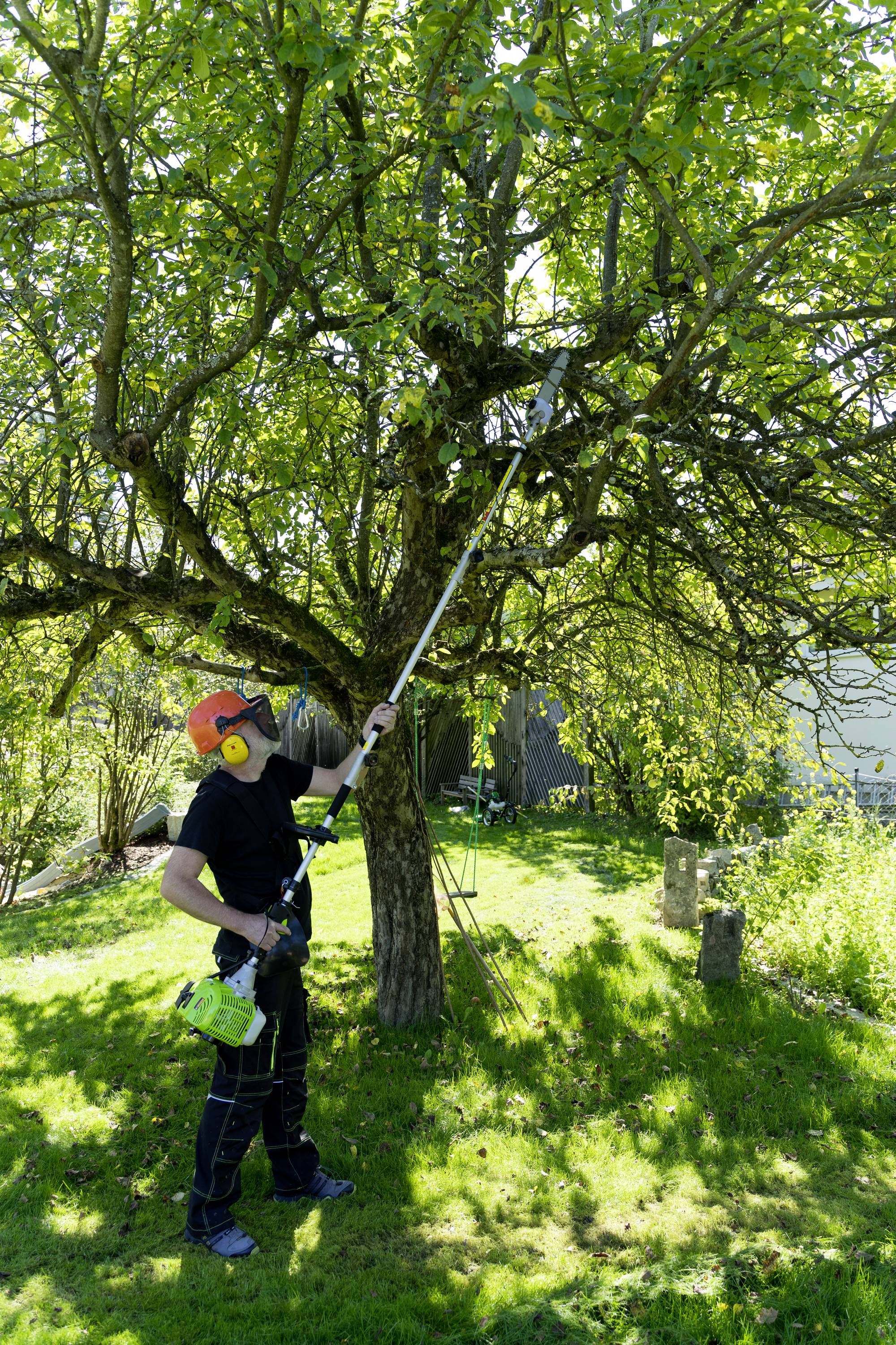 Une personne coupe des branches d'un arbre dans un jardin ensoleillé à l'aide d'un sécateur télescopique. Elle porte des vêtements de protection.