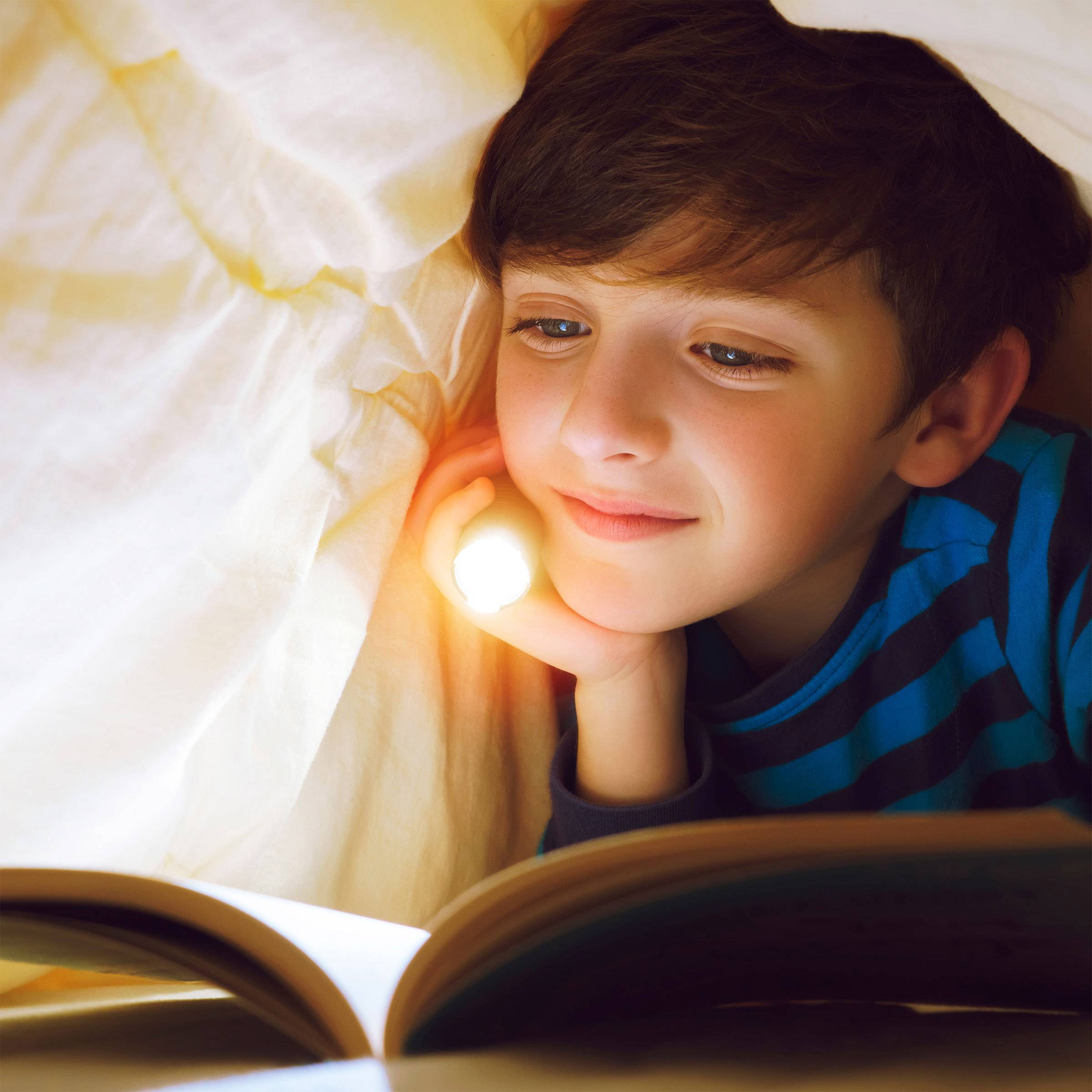 GP Discovery C31 LED Lampe de poche à pile(s) 85 lm 2 h 64 g-2