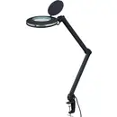 Lampe loupe LED TOOLCRAFT TO-7173474 Grossissement: 1.75 x CEE: F (A - G)
