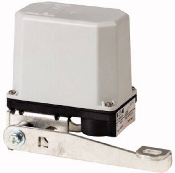 Eaton SW 088594 Interrupteur à flotteur avec levier (Ø) 198.5 mm  gris 1 pc(s) Piece