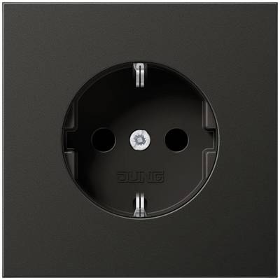 Prise électrique noire de JUNG avec deux trous de connexion et un contact de terre central, encastrée dans une plaque carrée.