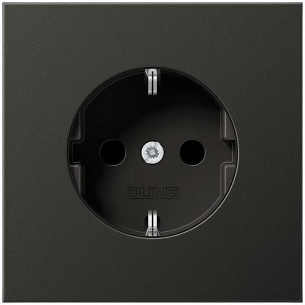 Jung simple Insert Prise 2P+T  noir AL1520NAN 1 pc(s)