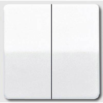 Jung simple Cache Interrupteur pour gamme, Bouton-poussoir pour gamme  blanc-alpin CD595WW