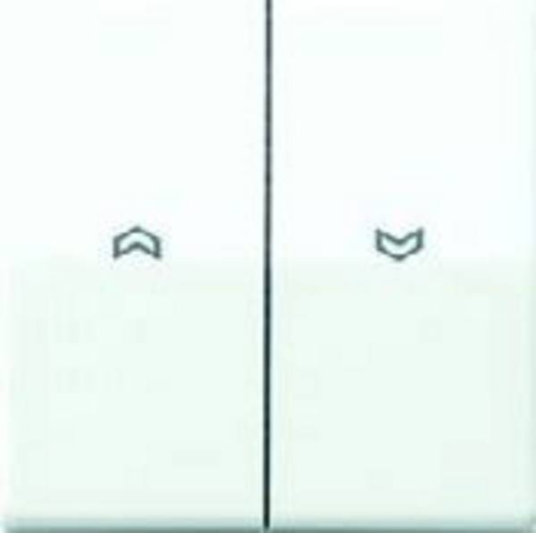 Jung simple Insert Bouton-poussoir  blanc-alpin AS591-5PWW 1 pc(s)