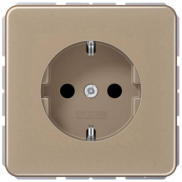 Jung simple Insert Prise 2P+T  bronze CD1520GB 1 pc(s)