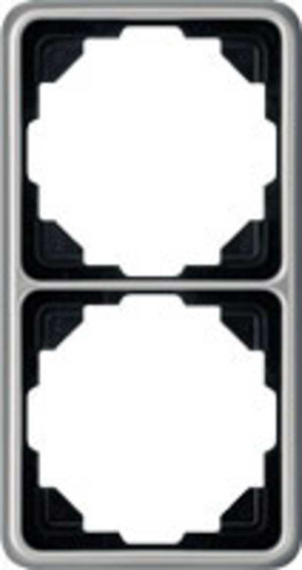 Jung x2 Cadre Cache  platine CD582PT 1 pc(s)