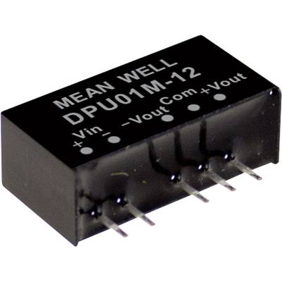 Module convertisseur CC/CC Mean Well DPU01M-15 Nbr. de sorties: 2 x   33 mA 1 W 1 pc(s)