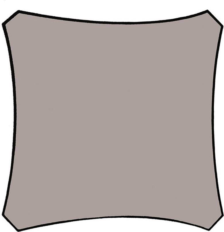 Une surface grise de forme irrégulière avec des contours noirs sur un fond blanc.