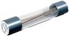 Micro-fusible Püschel Feinsicherungen FSUT0,8A (Ø x L) 6.3 mm x 32 mm 0.8 A 500 V temporisé -T- 10 pc(s)