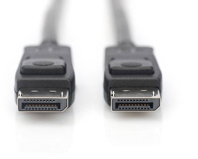 Deux connecteurs de câble DisplayPort sur fond blanc.