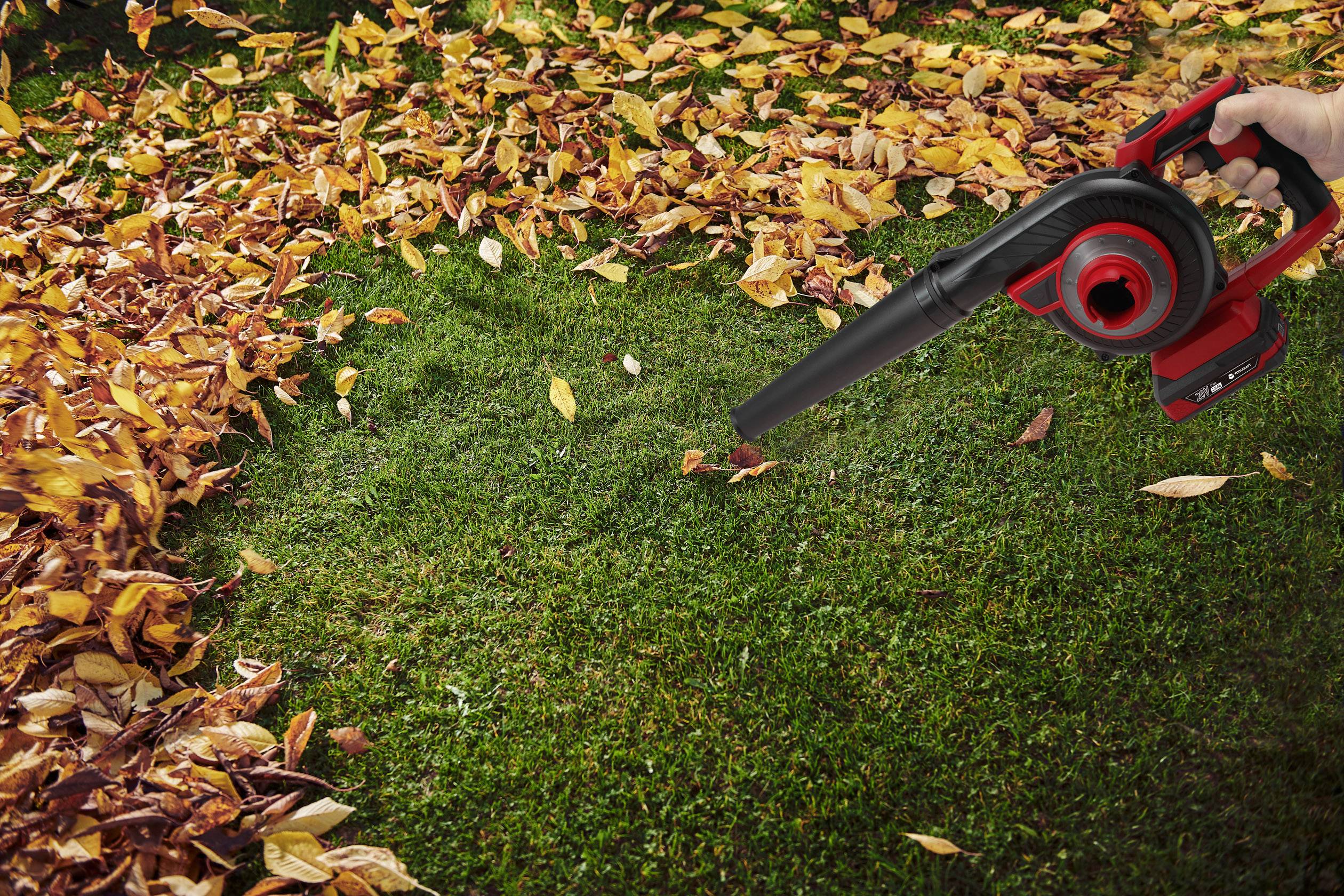 Une personne utilise un souffleur de feuilles pour rassembler des feuilles d'automne colorées sur une pelouse verte.