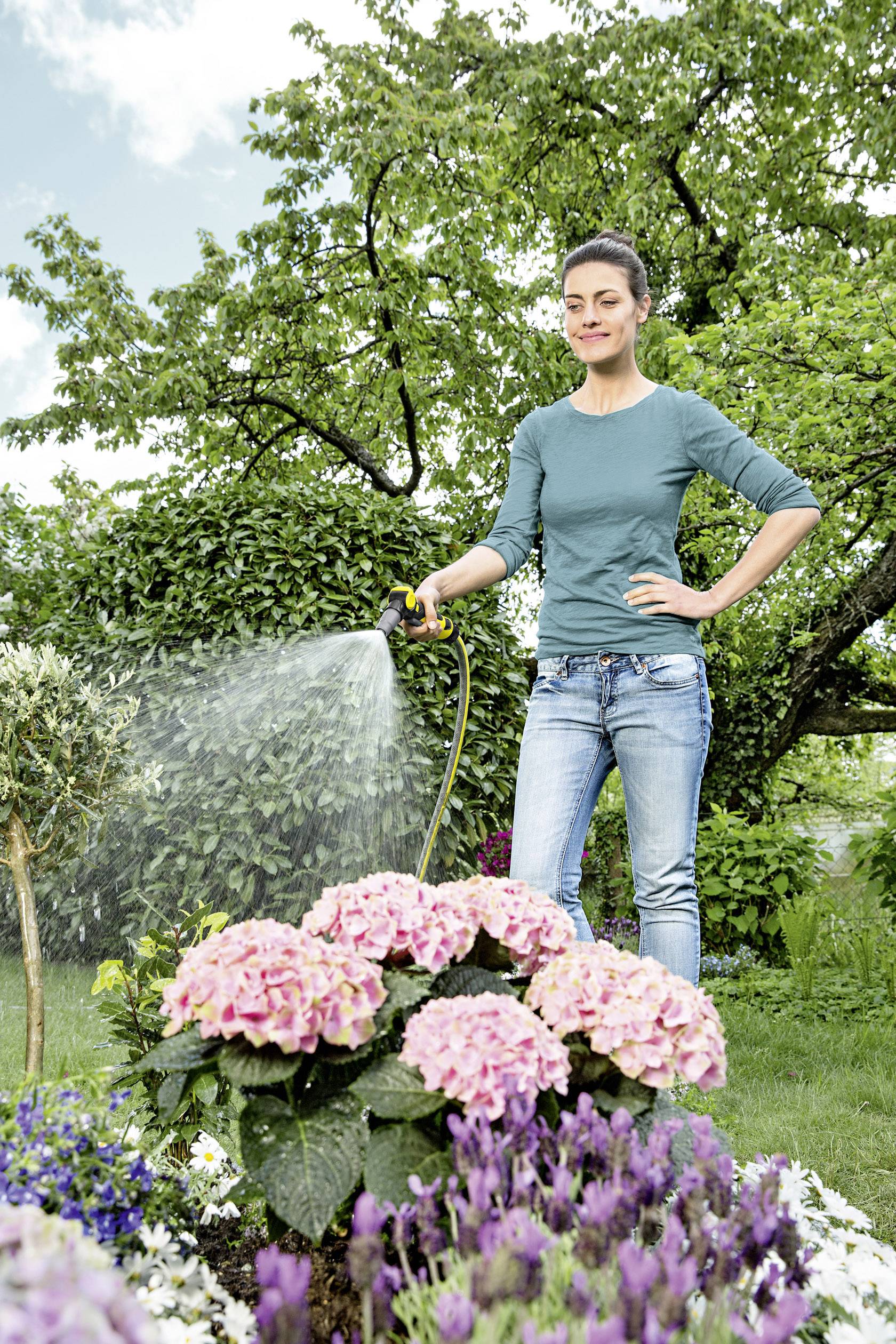 Une femme dans un jardin arrose des hortensias roses avec un tuyau d'arrosage, entourée de buissons et d'arbres verts. Elle porte un haut bleu et un jean.