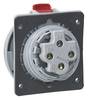 Legrand 555488 555488 Prise femelle CEE 32 A 4 pôles 250 V/AC 1 pc(s)