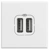 Legrand Prise USB Axolute blanc HD4286C2 1 pc(s)