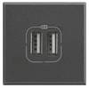 Legrand Prise USB Axolute anthracite HS4286C2 1 pc(s)