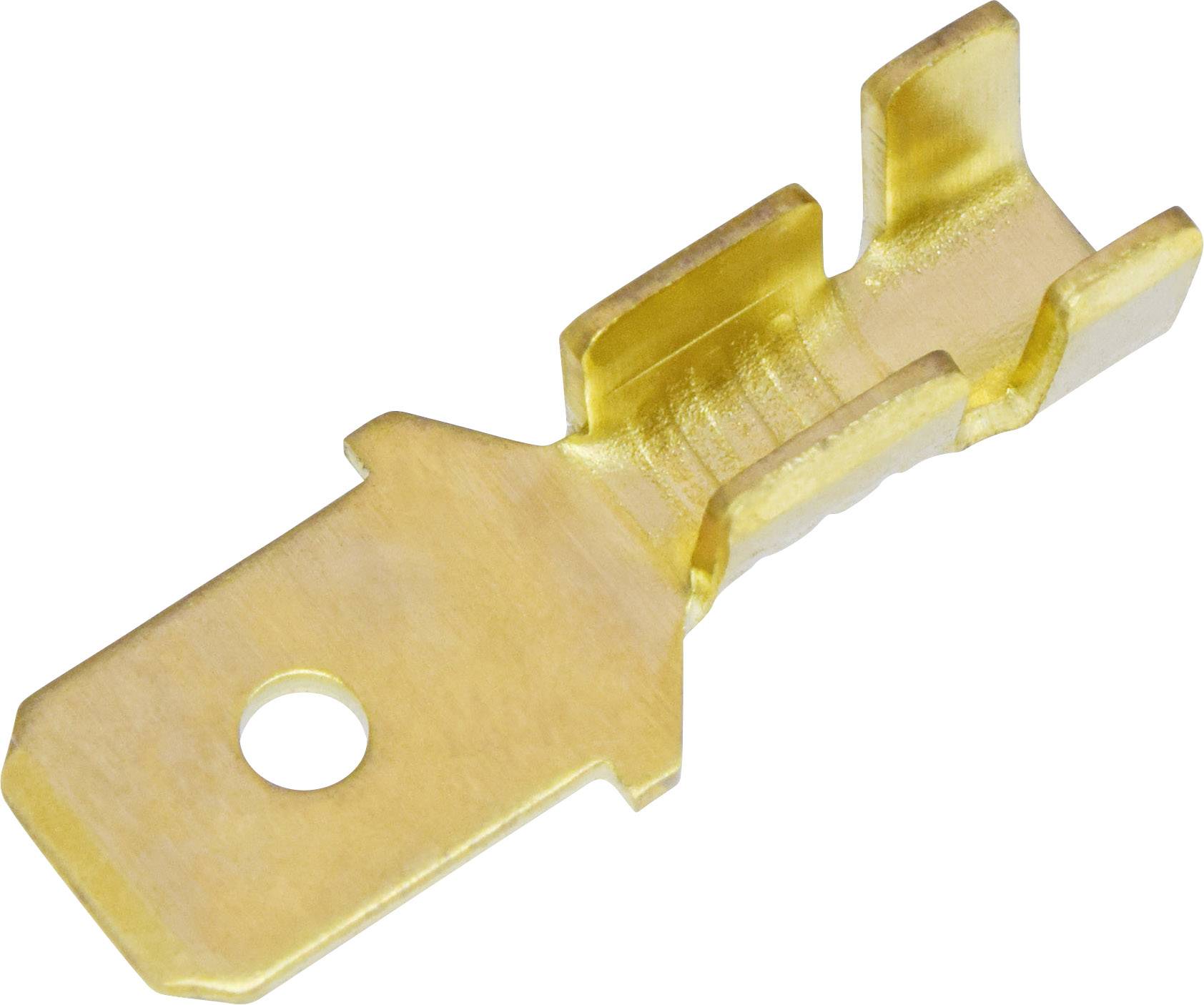 Un connecteur électrique plat métallique de couleur or avec un trou, utilisé pour établir une connexion électrique sûre entre des câbles.