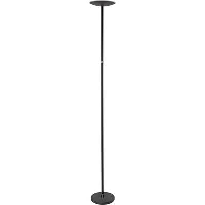 Lampadaire noir avec base et tête circulaires, design épuré et minimaliste. Idéal pour les espaces de vie modernes.
