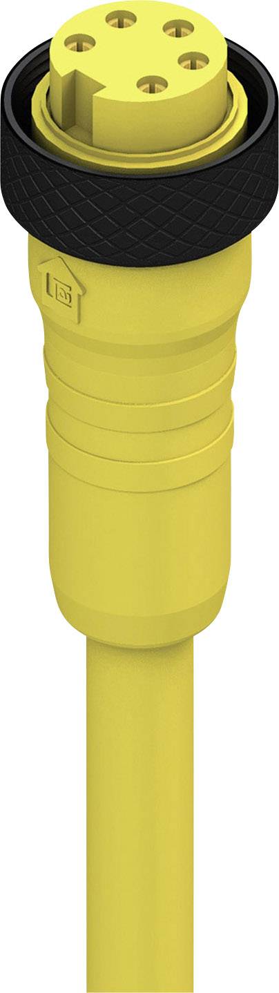 Câble de connexion jaune avec un anneau noir et cinq ouvertures rondes à l'extrémité.