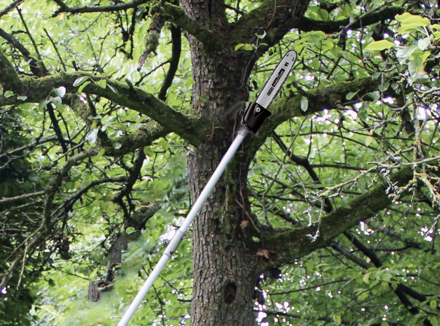 Un taille-haie monté sur une longue perche est utilisé pour couper une branche d'un arbre. L'arbre se trouve dans une zone forestière verdoyante.