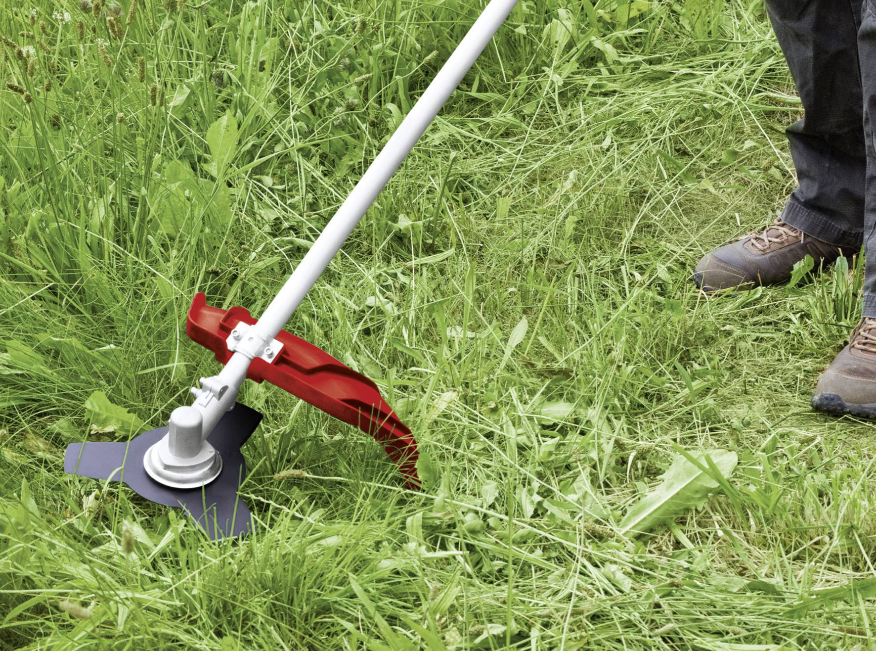 Une personne tond l'herbe avec un coupe-bordures. L'herbe est partiellement coupée.