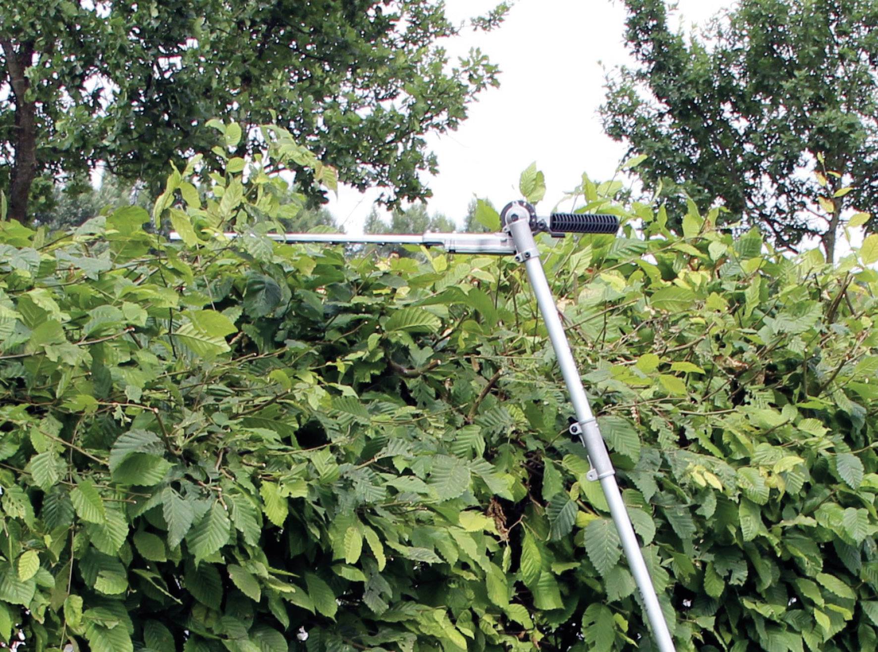 Un taille-haie sur un manche télescopique coupe des haies très hautes, entouré de feuillage vert et de cimes d'arbres en arrière-plan.
