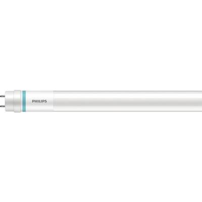 Tube fluorescent Philips avec boîtier blanc et ligne bleue près des extrémités.