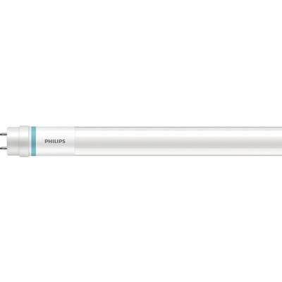 Une tube fluorescent blanc Philips avec un anneau bleu à l'extrémité est présenté horizontalement.