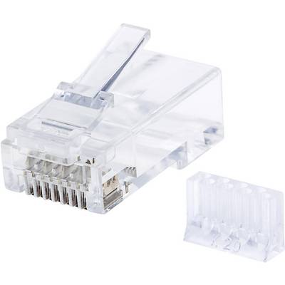 Un connecteur réseau RJ45 transparent à côté de son boîtier en plastique vide correspondant.
