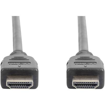 Deux fiches HDMI noires sont disposées parallèlement l'une à l'autre.