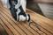 Un outil électrique retire l'ancien mastic des lattes de bois. Une personne portant des gants effectue le travail avec soin.