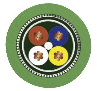 Emblème circulaire avec quatre motifs floraux en rouge, bleu, blanc et jaune, entouré d'une bordure verte.