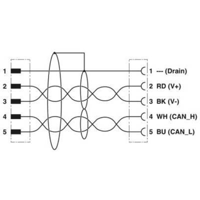 'Schéma d'une connexion de câble à cinq broches : 1-Drain, 2-RD (V+), 3-BK (V-), 4-WH (CAN_H), 5-BU (CAN_L).'