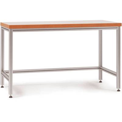 Une table rectangulaire avec un plateau en bois couleur brun clair et un socle en métal argenté, convenant à des travaux professionnels ou à des activités manuelles.