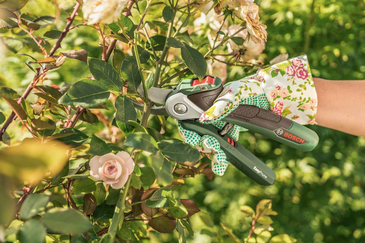 Bosch Home and Garden EasyP-2